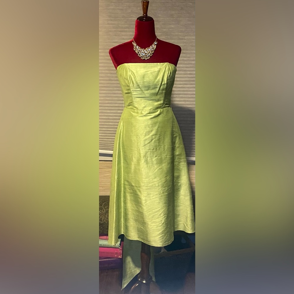 Watters & Watters Women’s Light Green Formal Tea Length Dress (M)